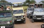 serengeti traffic jam2.jpg