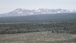 SEofMontrose4-25-2014 027.jpg