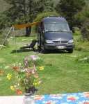 Van&flowersatBigSur.jpg