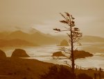 Ecola state park (January 2006).jpg