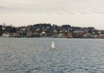 Port Townsend sailboat.jpg