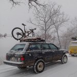 mudtop2 035 (Large).JPG