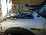 raptor style 11.jpg