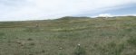 RoveringThe Sandhills WithAmyJune2014 031.jpg