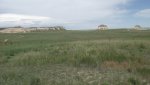 RoveringThe Sandhills WithAmyJune2014 060.jpg