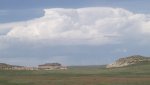 RoveringThe Sandhills WithAmyJune2014 093.jpg