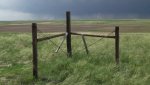 RoveringThe Sandhills WithAmyJune2014 129.jpg