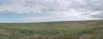 RoveringThe Sandhills WithAmyJune2014 145.jpg