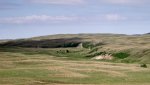 RoveringThe Sandhills WithAmyJune2014 497.jpg