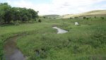 RoveringThe Sandhills WithAmyJune2014 468.jpg