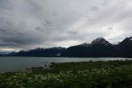 Haines 5.JPG