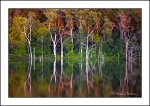 Lake-reflections-1.jpg