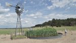 RoveringThe Sandhills WithAmyJune2014 1048 (1800x1350).jpg