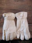gloves.jpg
