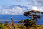Mount_Kilimanjaro_06.jpg