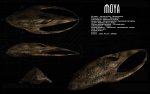 moya_ortho_by_unusualsuspex-d76bj3r.jpg