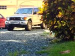 IMG_1256.jpg
