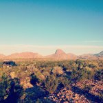 IMG_2741.jpg IMG_2741.jpg