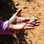 asset.php 3.jpeg asset.php 3.jpeg