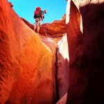 IMG_3851.jpg IMG_3851.jpg