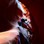 IMG_3833.jpg IMG_3833.jpg