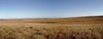 AutumnSandhillsOct.2014 499 (2000x753).jpg