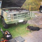 10402860_10100955302678786_2391074746551952746_n.jpg 10402860_10100955302678786_2391074746551952746_n.jpg