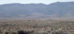 UtahWestDesertNov.2014 272 (2400x1111).jpg