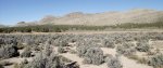 UtahWestDesertNov.2014 430 (2400x1000).jpg