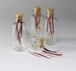 Jeff cactus picks.jpg