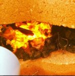 Screen shot 2014-12-06 at 4.32.29 PM.jpg