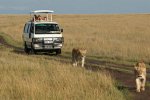 Safari mini-bus game drive.jpg