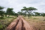 dirt-road-deeply-rutted-used-image.jpg