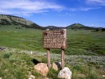 Grey's River meadow.jpg