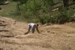 BOWAGWR2006 023aa.jpg