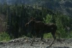 Ouray 2006 set 2 021a.jpg