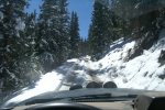 Argentine Pass Mt Evans 9 24 06 008a.jpg