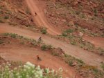Shafer Trail 2010 121-1.jpg