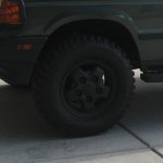 IMG_7020_crop.jpg