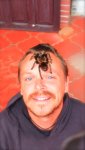 BrianTarantula1.JPG BrianTarantula1.JPG