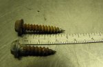 screws 1.jpg