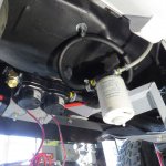 IMG_3992 (Large).JPG