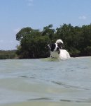 20140519_121206 2.jpg