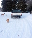 rangeroverwinter600.jpg