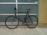 trek1200.jpg