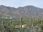 IMG_1627.jpg