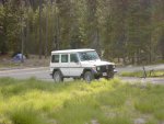 G WAGEN.jpg