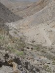DV-Day2-04.jpg