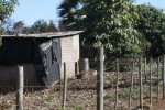 Shack in village.jpg Shack in village.jpg