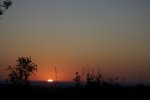 Sunrise Over the Savannah at Kruger.jpg